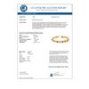 Image 3 : 12.90 CTW Multi-Color Sapphire Bracelet 10K Yellow Gold - REF-85N3A - 11706