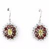 Image 1 : Natural Garnet & Citrine Earrings