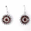 Image 1 : Natural Gemstone Earrings