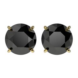 2.60 CTW Fancy Black VS Diamond Solitaire Stud Earrings 10K Yellow Gold - REF-52H8M - 36685