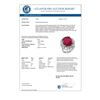 Image 3 : 10.65 CTW Ruby & Diamond Ring 18K White Gold - REF-272X7R - 13196