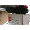 Image 1 : SIX NOBLE PINE CHRISTMAS TREE IN BOX