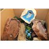 Image 2 : BOX OF TERRARIUM ITEMS