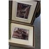 Image 3 : 6 SMALL FRAMED PRINTS ANIMALS AND OTHERS