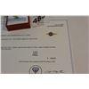 Image 2 : 10KT YELLOW GOLD GENUINE SAPPHIRE AND DIAMOND RING WITH APPRAISEL $1200.00