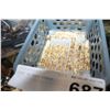 Image 1 : TRAY OF FOIL VIALS