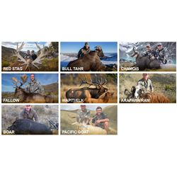 New Zealand Hunt with Exclusive Adventures