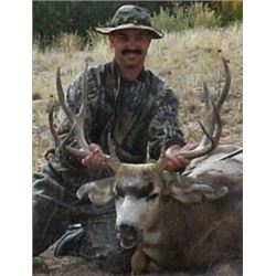 Trophy deer hunt with Sangre de Cristo Outfitter