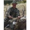 Image 1 : Trophy deer hunt with Sangre de Cristo Outfitter