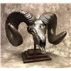 Image 2 : Bronzed bighorn sheep replica by Dan Teets  Iron Clad Metal