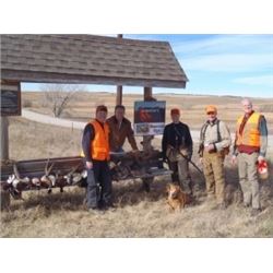 Pheasant hunt for 4 with Rocky Mountain Roosters