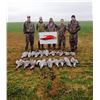 Image 2 : Sandhill Crane hunt with Final Descent in Texas