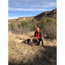 Bighorn Sheep license on the Chancellor Ranch