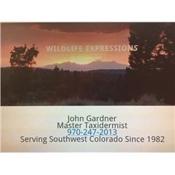 Taxidermy Credit by Wildlife Expressions