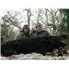 Image 1 : Hog Hunt #1 at Hog Wild, Oklahoma City