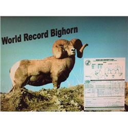 Print of World Record Bighorn