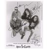 Image 1 : Alice in Chains