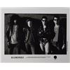 Image 3 : Ramones
