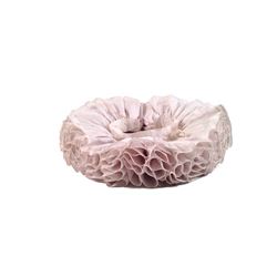 Tulip Fever Cornelis Sandvoort (Christoph Waltz) Movie Props