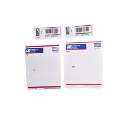 Roman J. Israel, Esq. Roman's Motion Picture Money Stack Movie Props