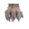 Image 3 : Underworld: Lycan Feet Movie Props