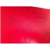 Image 5 : Heavyweight Champions Autographed Boxing Glove