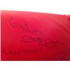 Image 6 : Heavyweight Champions Autographed Boxing Glove