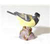Image 1 : Hand painted Royal Worcester great-tit on …