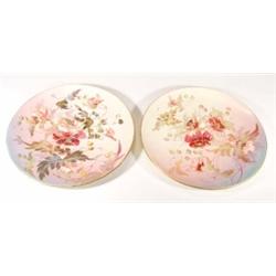 Pair of Victorian pottery wall plates, han…