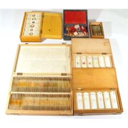 Four pine boxes of assorted human tissue a…