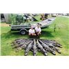 Image 2 : Alligator Hunt for 2 Hunters, Texas/Lousiana