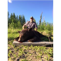 6-day Alberta Spring Black Bear Hunt