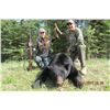 Image 3 : 6-day Alberta Spring Black Bear Hunt