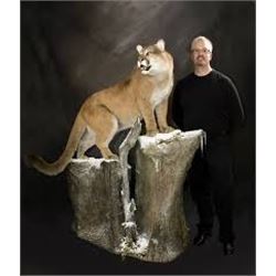 Credit from Award Winning Taxidermist