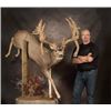Image 5 : Credit from Award Winning Taxidermist
