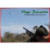 Image 3 : 4-day High Volume Dove Hunt in Spain for 4 Hunters
