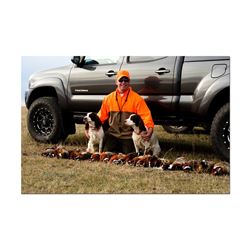 1-day Alberta Pheasant Hunt for 4 Hunters during Festival