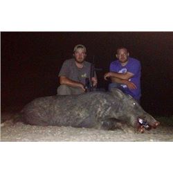 1-night, 3 Hunters, Night Vision Hog Hunt in Texas