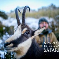 5-night, 1 hunter New Zealand Alpine Chamois plus Discount for 2 more