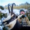 Image 1 : 5-night, 1 hunter New Zealand Alpine Chamois plus Discount for 2 more