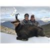 Image 3 : 5-night, 1 hunter New Zealand Alpine Chamois plus Discount for 2 more