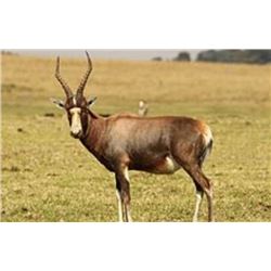 9-day, 2 Hunters, 2 Non-hunters, 4 Trophies