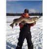 Image 3 : Northern Ontario Fishing for 1