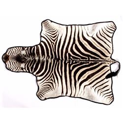 Taxidermy Zebra Hide Pelt Rug