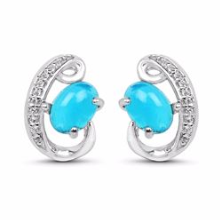 STERLING SILVER PARAIBA OPAL EARRINGS