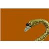 Image 5 : Gold Plexiglases Silver Plated Swan Sculpture