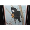 Image 2 : YELLOW HEADED BLACK BIRD BY RANDY FEHR 24283