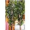 Image 2 : TWO ARTIFICAL TREES