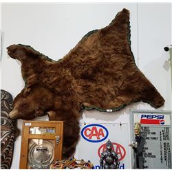 TAXIDERMY BROWN BEAR RUG