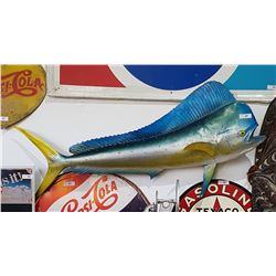 MOUNTED BULL DOLPHIN FISH